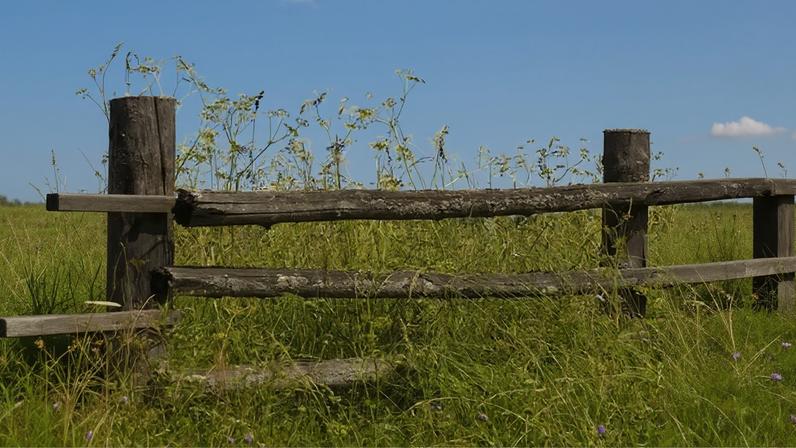 O que é a cerca de Chesterton e por que importa