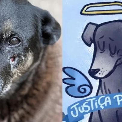 Câmara acelera projeto que torna maus-tratos a animais com morte crime hediondo