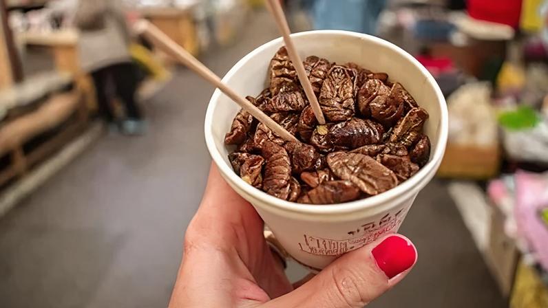 Insects are packed with nutrients and rich in protein (Credit: Alamy)