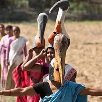 Cegonha rara, mau presságio, é salva por exército feminino e vira tesouro