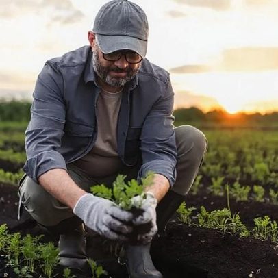 Rabobank capta R$ 1 bi para crédito agrícola da Bayer