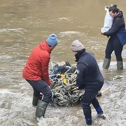Pesadelo de resíduos plásticos na praia, enquanto resgates de focas aumentam