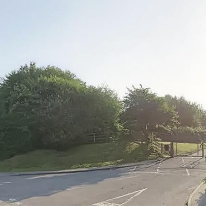 Público pode ajudar a escolher nome de reserva natural