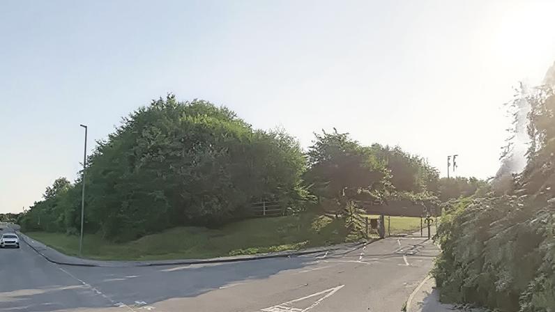 Público pode ajudar a escolher nome de reserva natural