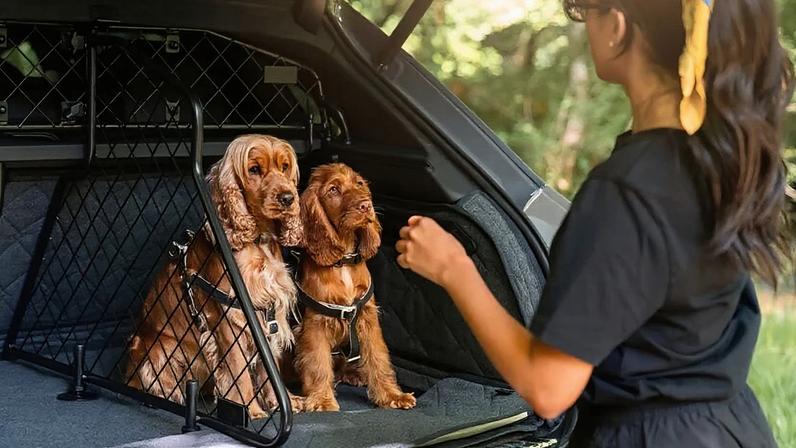 A Bentley Motors afirma que um em cada três proprietários usa orgulhosamente seu Bentayga, Continental GT ou Flying Spur para transportar cachorros
