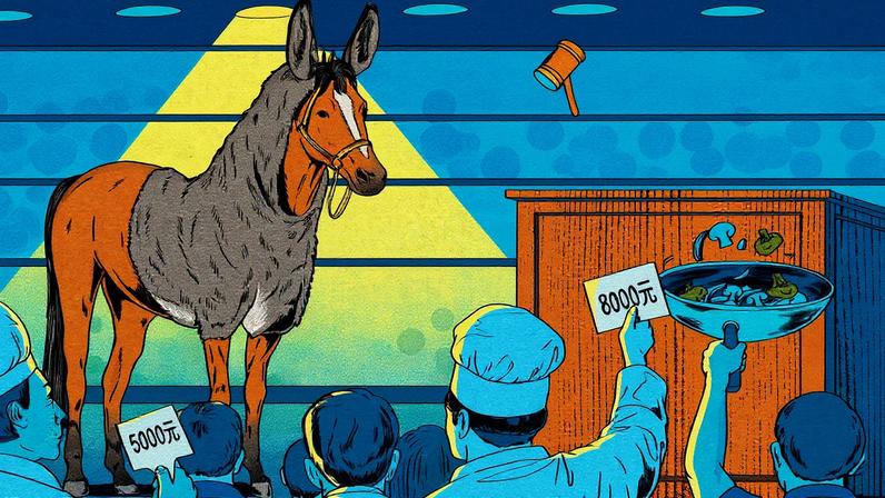 China enfrenta escassez de carne de jumento para consumo