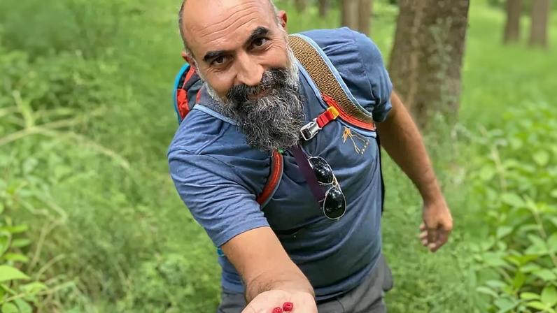 Xerife investiga interesse envolvendo genro Tommaso Cioni, afirma Guthrie