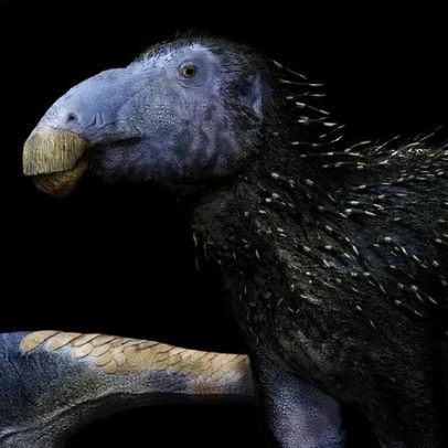 Dinossauro fossilizado com corpo cheio de espinhos surpreende cientistas