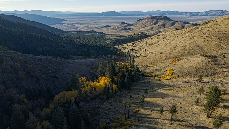 Tribo Washoe compra 10.000 acres em retorno de terras na Califórnia