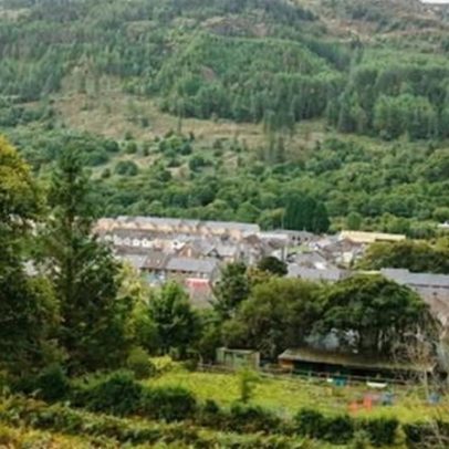 Como vila galesa salvou sua floresta e seu futuro