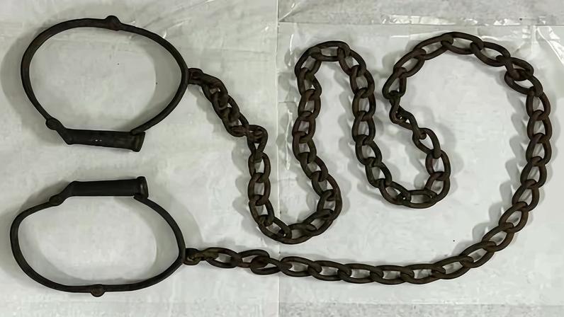 ‘I think it’s important not to upset and offend, but shock people into learning the whole truth,’ the auctioneer, Marcus Salter, said.