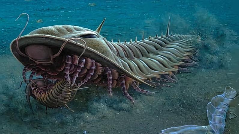 Desenhos de fósseis da Ilha Kangaroo inspiram série de selos