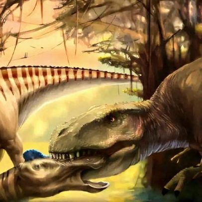 Tiranossauro deixa dente no crânio da presa; fóssil registra ataque