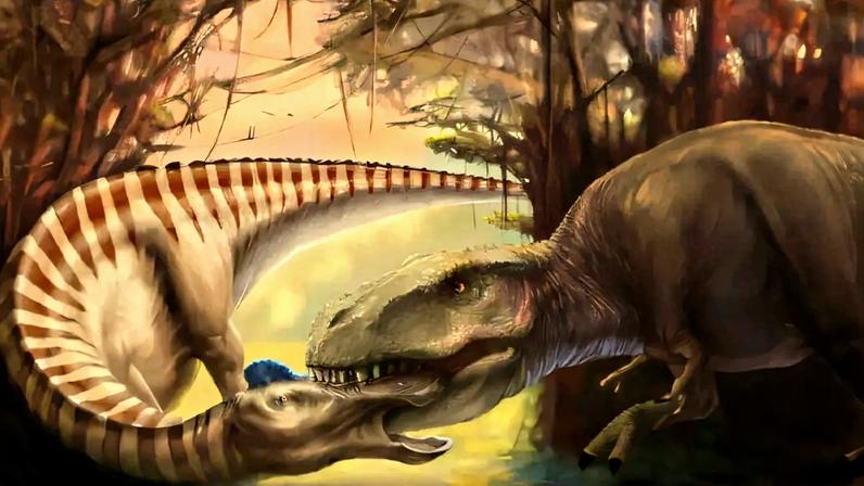 Tiranossauro deixa dente no crânio da presa; fóssil registra ataque