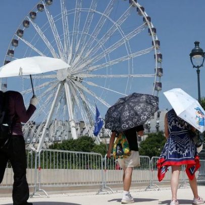 Alta temperatura na Europa pode aumentar transmissão do chikungunya
