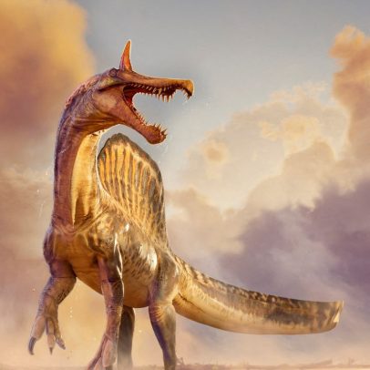 Fósseis de nova espécie de dinossauro gigante são encontrados no Níger