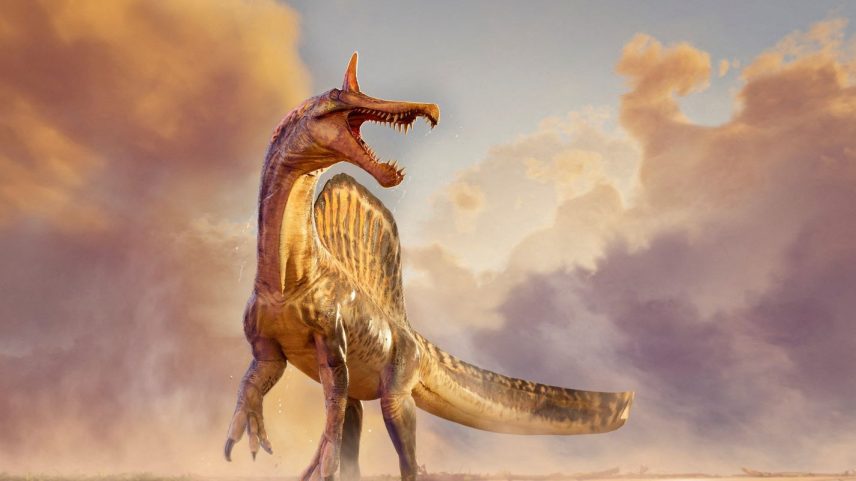 Fósseis de nova espécie de dinossauro gigante são encontrados no Níger