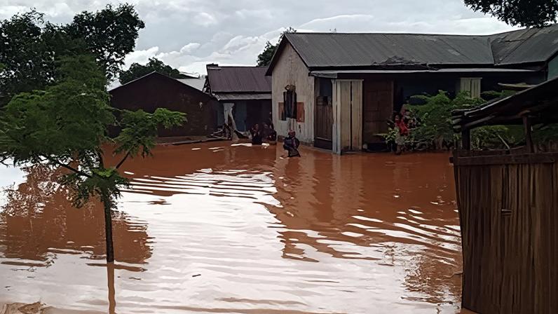 Equipes da Durrell presas pelo ciclone em Madagascar