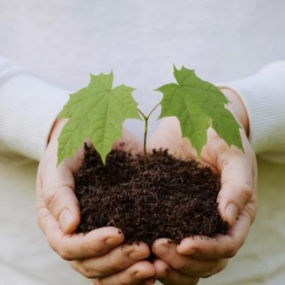Pastor explica importância da primícia como teste do coração