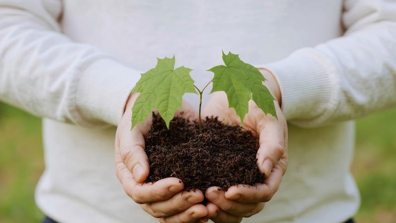 Pastor explica importância da primícia como teste do coração