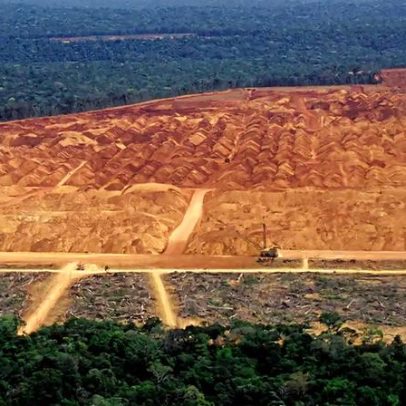 Brasil precisa de maior rigor no desmatamento para Net Zero 2050
