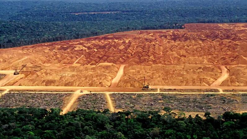 Brasil precisa de maior rigor no desmatamento para Net Zero 2050