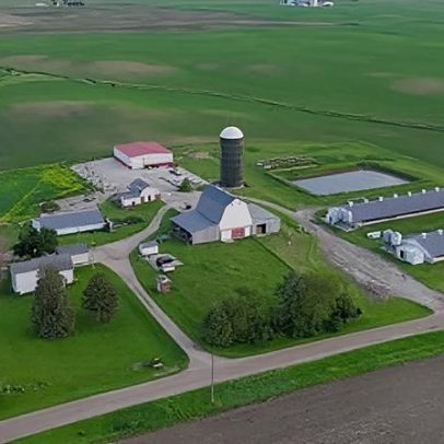 Fazendeiros de Iowa trocam porcos por cogumelos