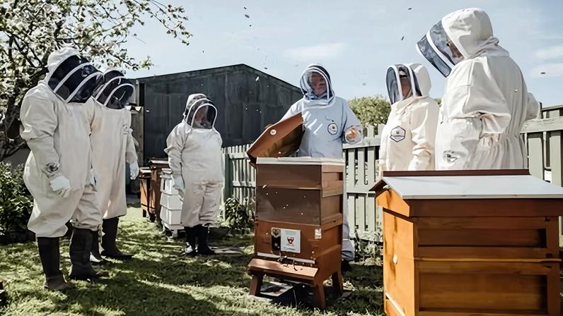 People in protective clothing look on as another demonstrates how a beehive works