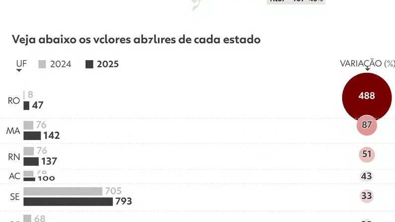 Mortes cometidas pelas polícias dos estados — Foto: Dhara Pereira/Arte g1