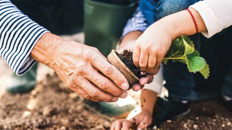 5 sementes para cultivar no coração dos netos nesta primavera