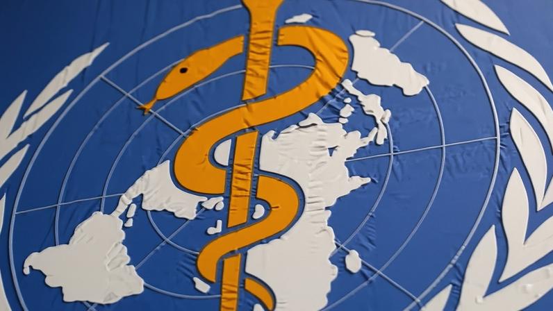 Illinois adere à rede da OMS após EUA deixarem o órgão sob Trump