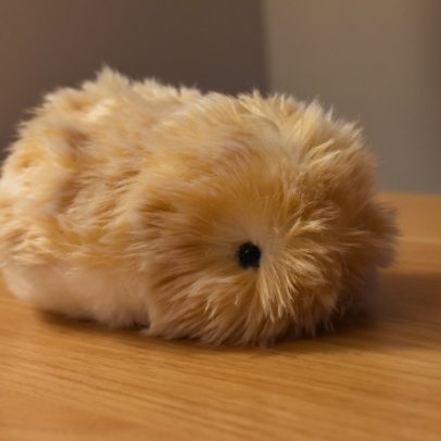 Usuário expressa forte antipatia por seu animal de estimação com IA