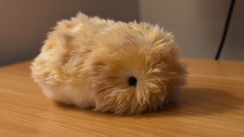 Usuário expressa forte antipatia por seu animal de estimação com IA