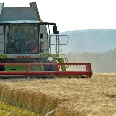 Agricultores do Reino Unido sofrem com novo teto de pagamentos sustentáveis