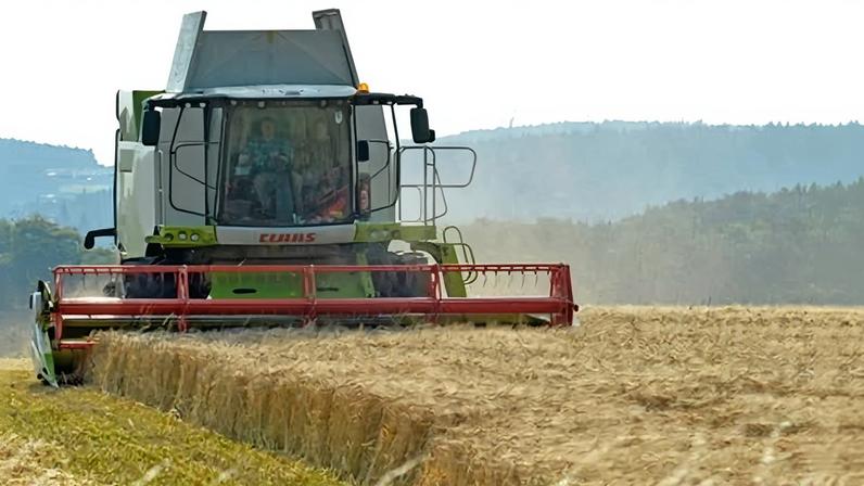 Agricultores do Reino Unido sofrem com novo teto de pagamentos sustentáveis