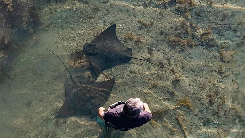 Dean Savage, 63, stands near stingrays ahead of a reef ecology tour at Tatapouri, near Gisborne, New Zealand. Photograph: Derek Morrison