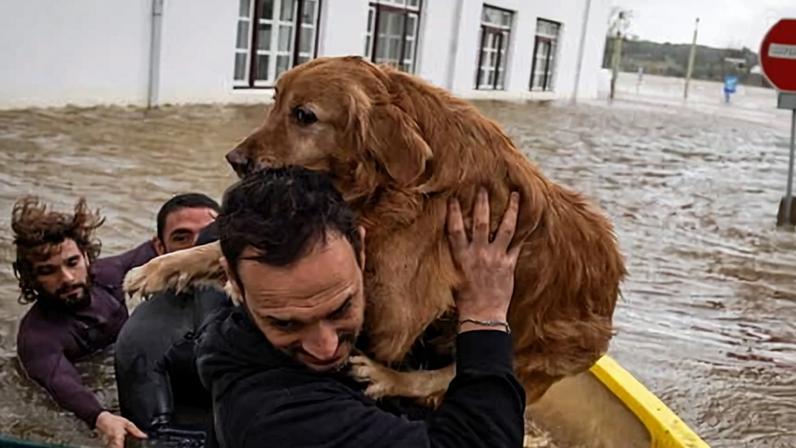 Adiamento da eleição presidencial por tempestade Leonardo em Portugal e Espanha