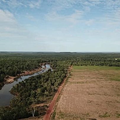 Ambientalistas preocupados com aprovação para desmatar 3 mil hectares savana