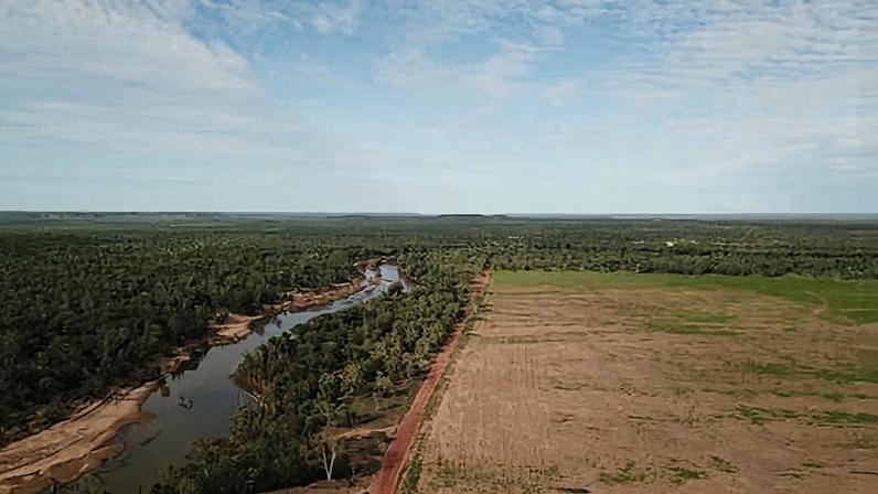Ambientalistas preocupados com aprovação para desmatar 3 mil hectares savana