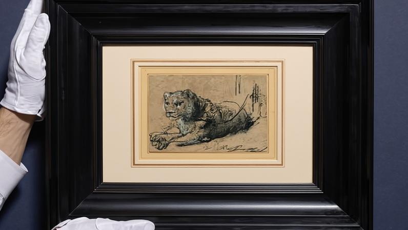Rembrandt, Young Lion Resting, ca 1638–1642, black chalk with white chalk heightening and grey wash on brown laid paper, 115mm x 150mm.