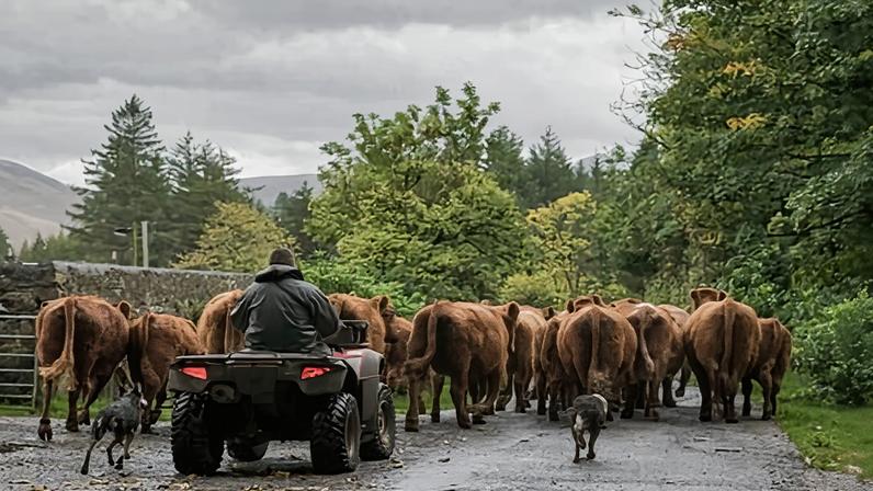 Rebuilding demand for British products in Europe will take time, the NFU warn.