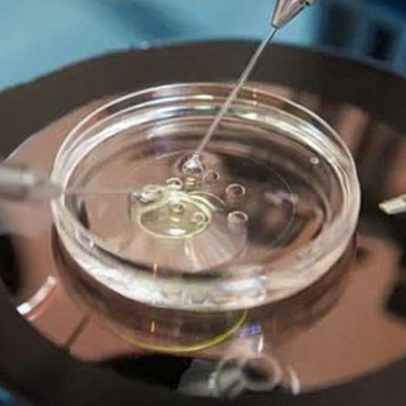 Pacientes vencem tribunal para salvar embriões após erro de consentimento