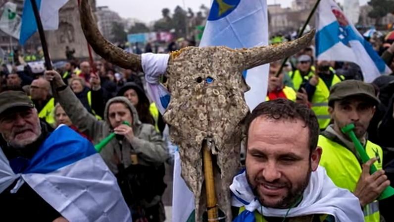 Bovinos e cordeiro recebem 580 vezes mais subsídios da UE que leguminosas