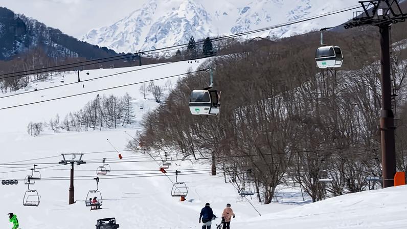 The Tsugaike Mountain Resort and Tsugaike Gondola Lift Co in Japan jointly apologised and said an investigation would be launched after an Australian woman died in a ski lift incident.