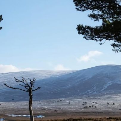 Ricos usam brecha para ocultar £300 milhões em vendas de terras na Escócia