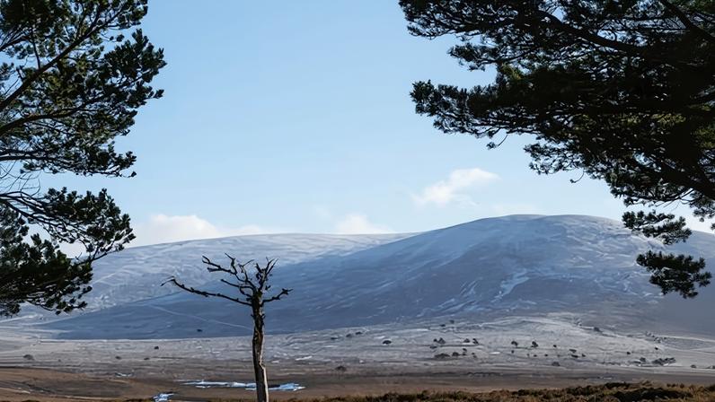 Ricos usam brecha para ocultar £300 milhões em vendas de terras na Escócia
