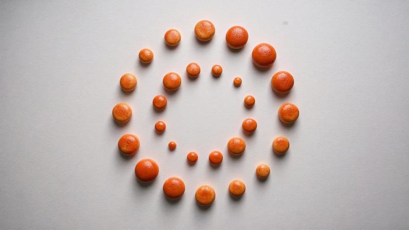 Trinta e quatro australianos libertados de acampamento sírio com famílias do EI