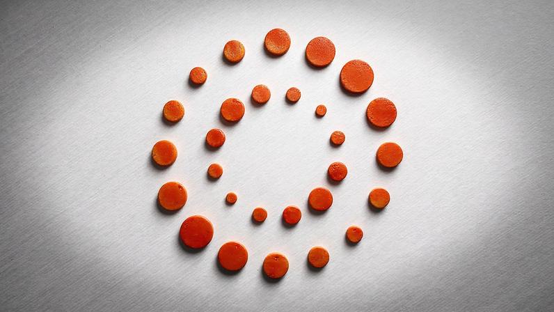 Novo embaixador de Trump, Bozell, chega à África do Sul em meio a tensões