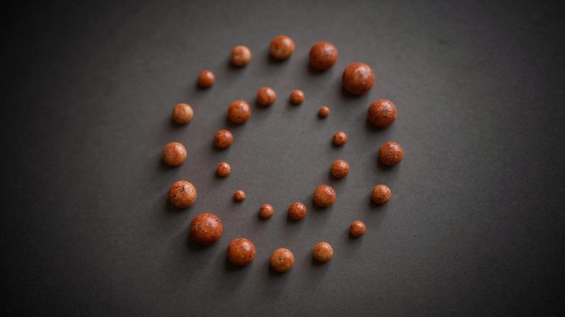 Polônia proíbe carros chineses em áreas militares por riscos de dados