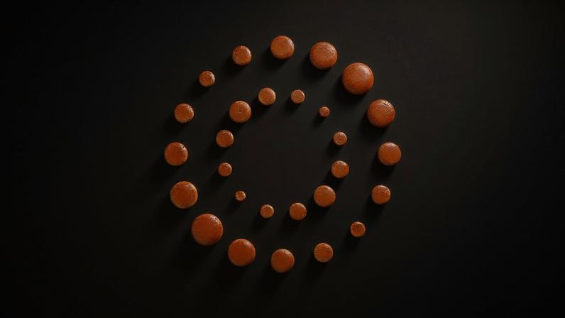 Bielorrússia libera oposicionista após derrame na prisão, diz líder exilado